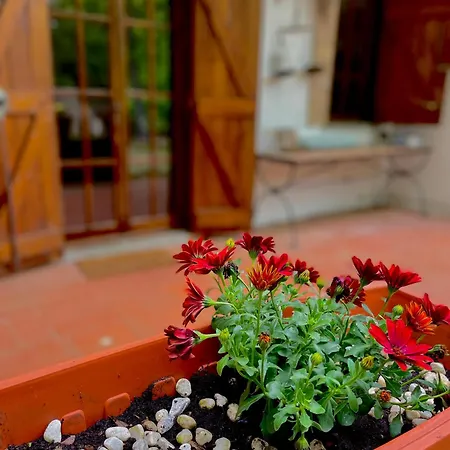 Notti Serene Bed & Breakfast
